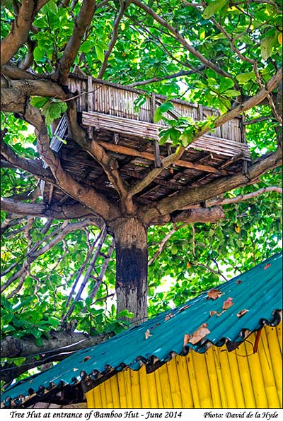 Tree hut at the entrance of Bamboo Hut
