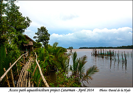 Path to aquasilviculture project - Catarman
