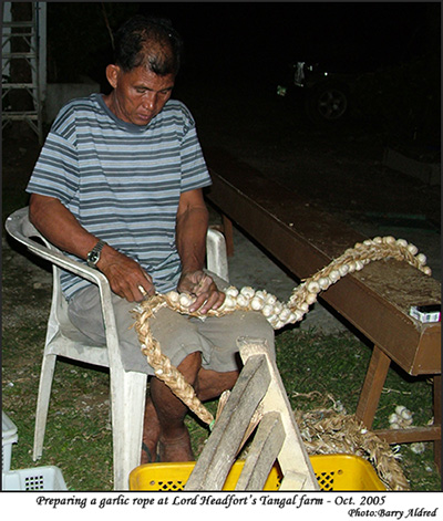 Preparing a Garlic rope at Lord Headforts Tangal farm Oct. 2005