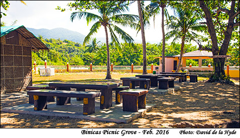 Binicas Picnic Grove Tables
