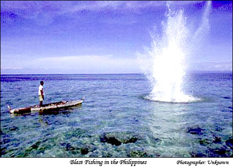 Blast Fishing in the Philippines