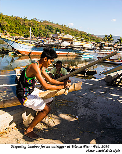 Preparing bamboo for an outrigger