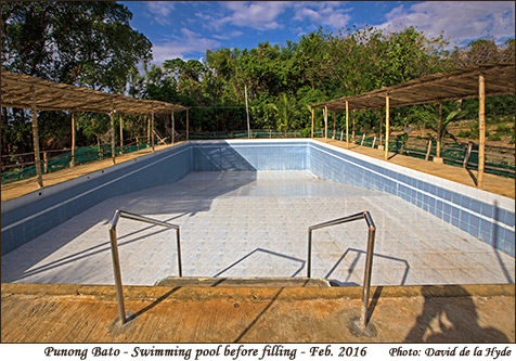 Empty Pool at Punong Bato