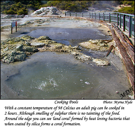 Hells Gate Cooking Ponds