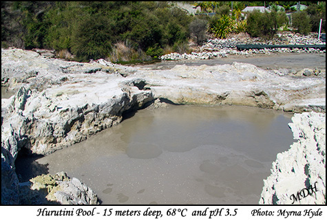 Hurutini Pool - Hells Gate