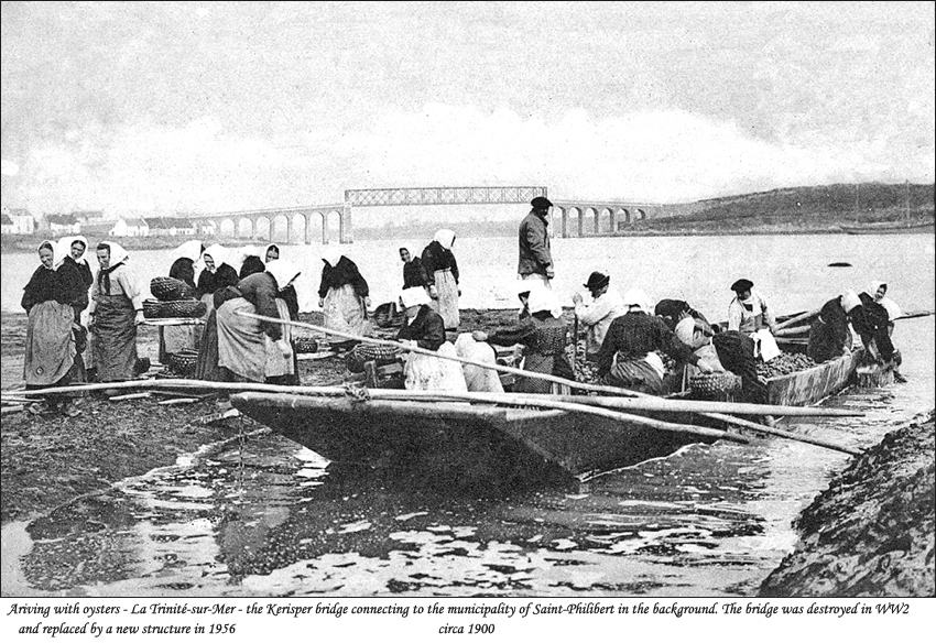 Arriving with oysters - Trinité-sur-Mer