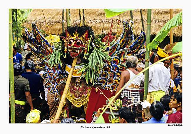 Balinese Cremation #1