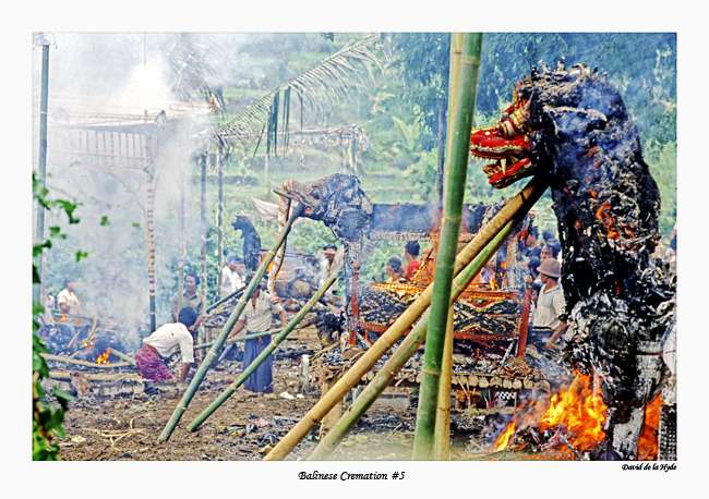 Balinese Cremation #5