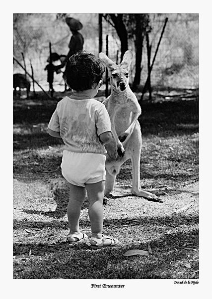 First Encounter