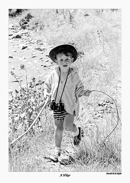 The Hiker