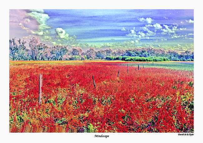 Mindscape