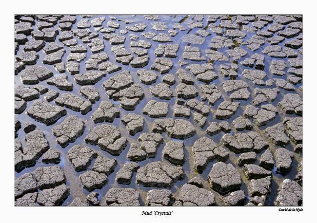 Mud Crystals