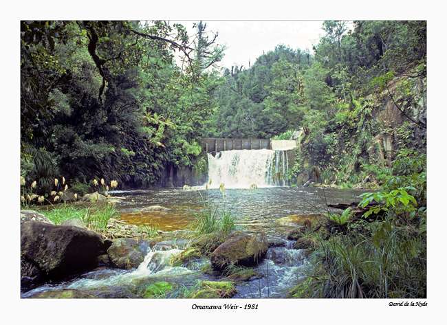 Omanawa Weir - 1981