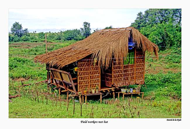 Rest Hut