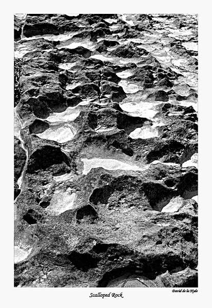 Scalloped Rock