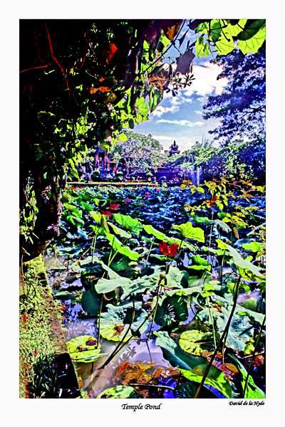 Temple Pond