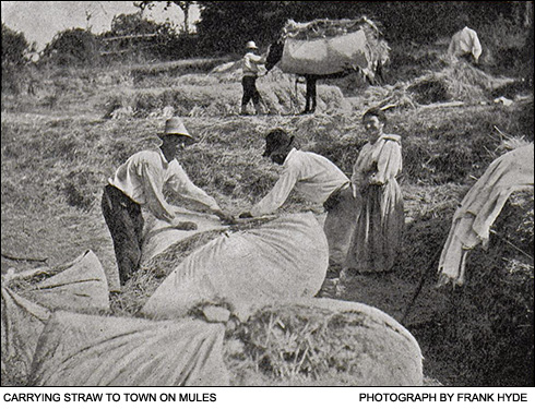 Carrying straw to town  - photo by Frank Hyde