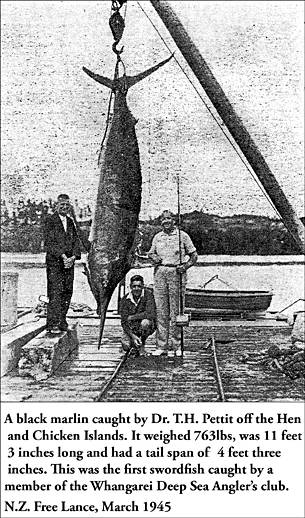 Dr Harold Pettit's 763lb Black Marlin 