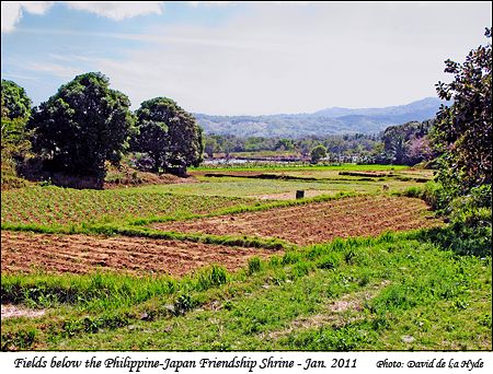 Fields below the Philippine-Japan Friendship Shrine