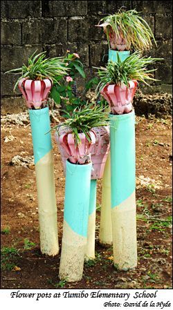 Flower pots at Tumibo Elementary School