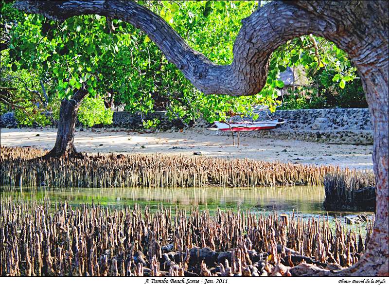 A Tumibo Beach Scene