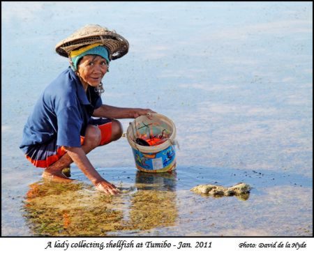 A Tumibo lady collecting shellfish