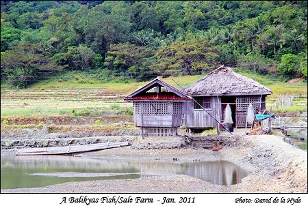 A Balikyas Fish/Salt farming cottage