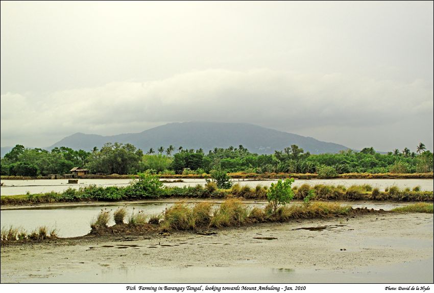 Fish farming in Tangal, looking towards Mount Ambulong