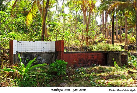 The barbeque Area