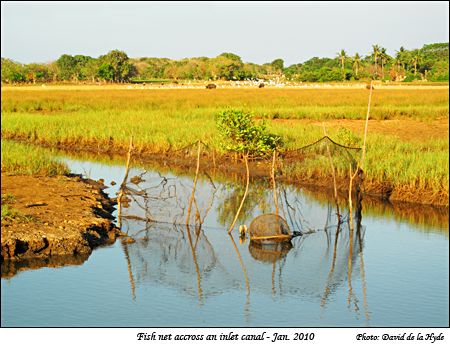 Fish net accross an inlet canal