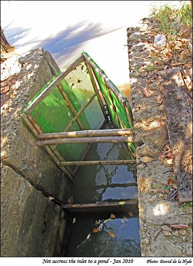 Fish net accross the inlet to a pond
