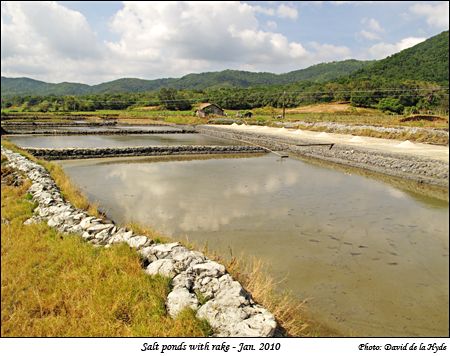 Salt ponds with a rake