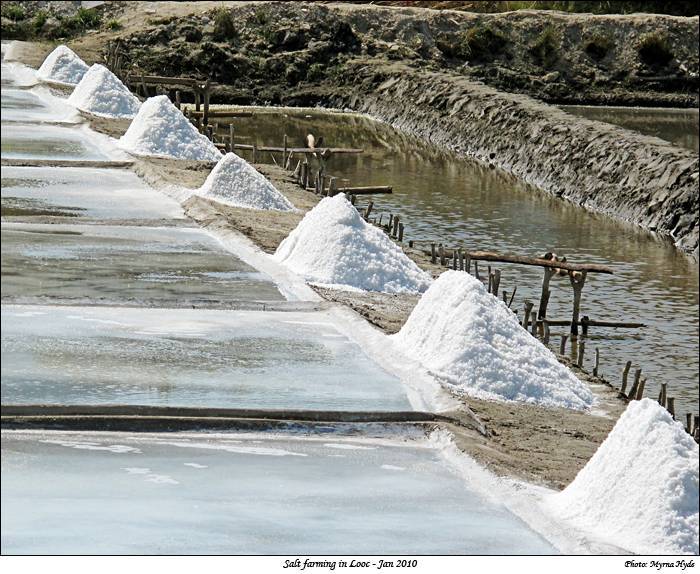 Salt Farming in Looc