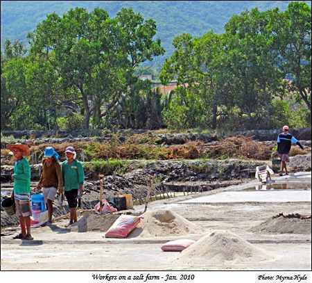 Salt farm workers