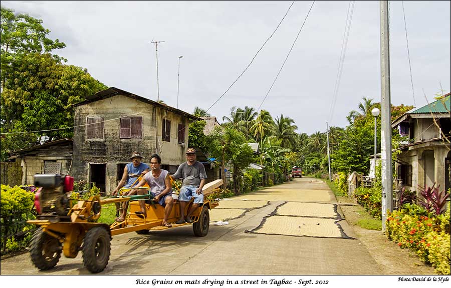 Rice grains drying on mats in a street in Tagbac