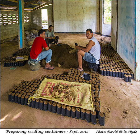 Preparing containers for seedlings