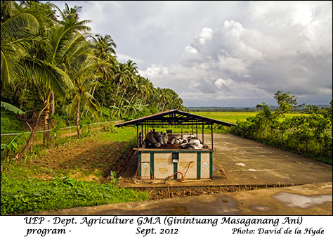 GMA rice program