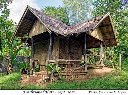 Traditional Hut?