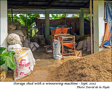 Storage shed with winnowing machine