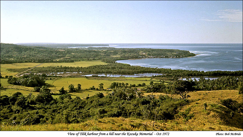 View of Tilik Harbour from a hill near the Kozuka Memorial