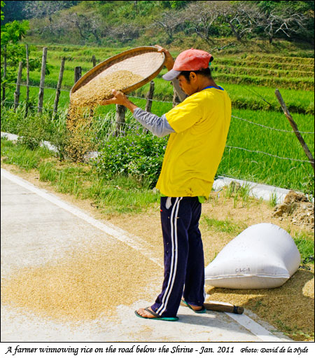 A farmer winnowing rice on the road below the shrine