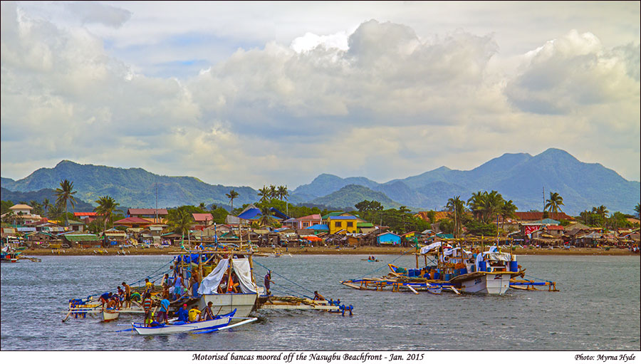 Motorised Bancas moored off Nasugbu Beachfront