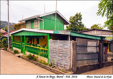 A Brgy. Burol house