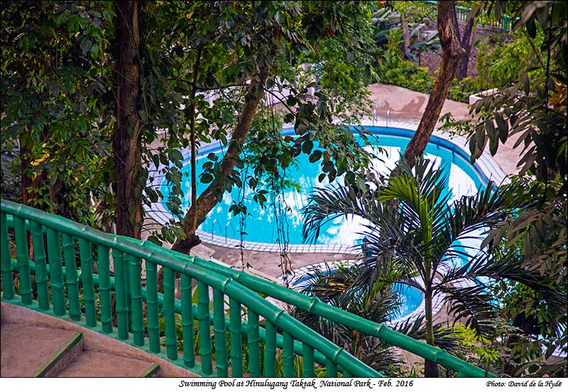 Swimming Pool at Hinulugang National Park