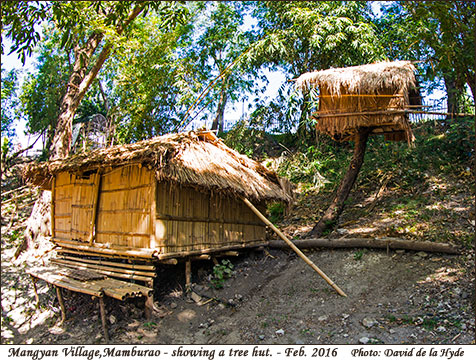 A tree hut in the Mamburao Mangyan Village
