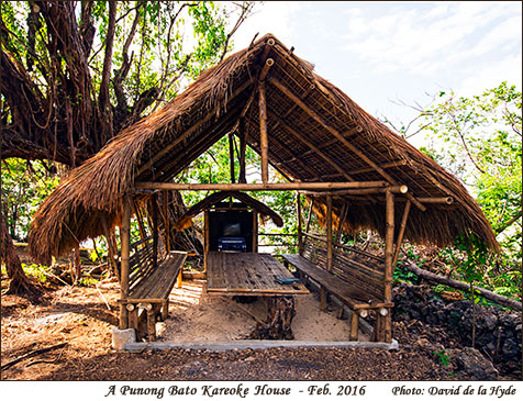 Punong Bato Cottage with Karaoke