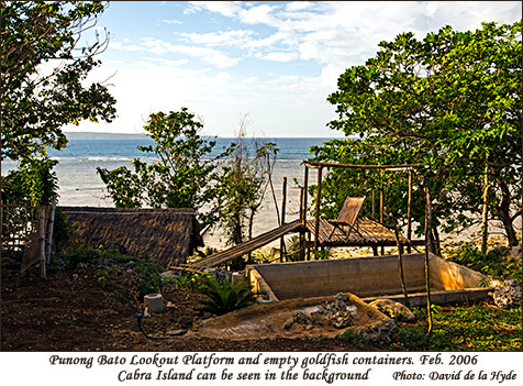 Punong Bato Observation Platform