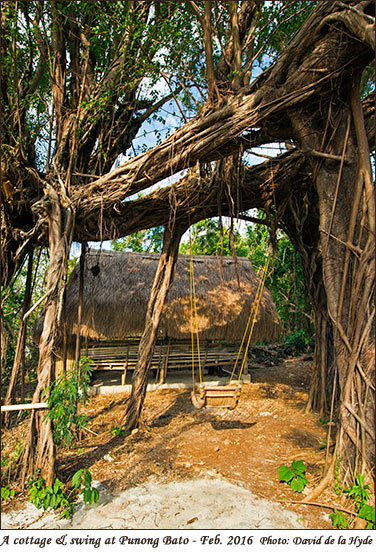 A cottage and swing at Punong Bato