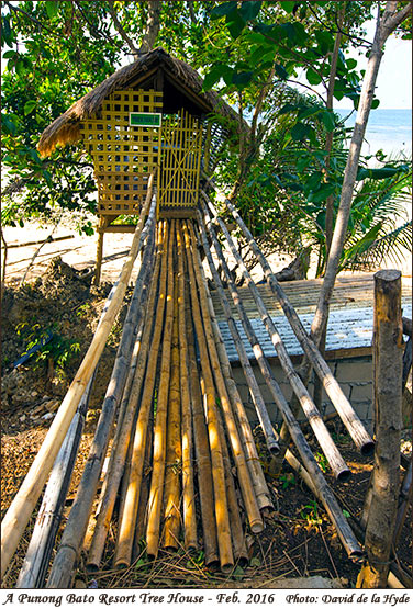 A Punong Bato Resort Tree House