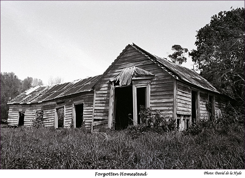 Forgotten Homestead